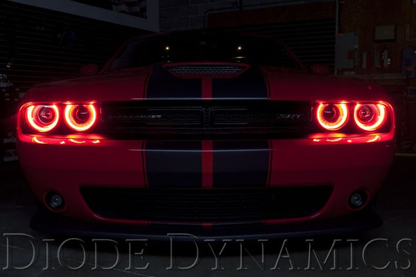 RGBW DRL LED Boards for 2015-2021 Dodge Challenger – Lightwerkz