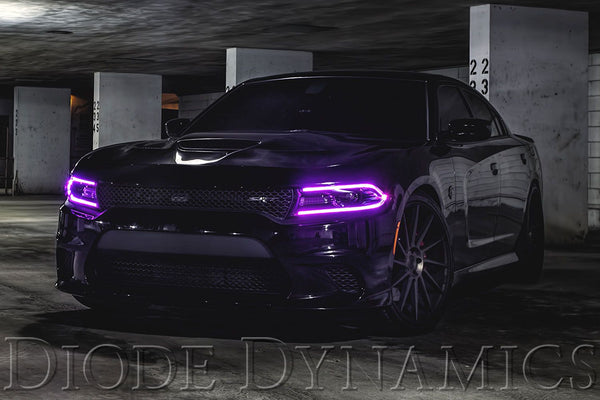 2015-2016 Dodge Charger RGBW DRL LED Boards – Lightwerkz Global Inc