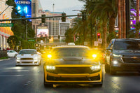 Morimoto 2Banger Ditch Light Kit: 2024+ Ford Mustang (HXB White Combo Beam)