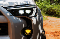 14-24 4Runner Evo Hybrid Heads and Smoked Tails