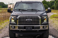 15-17 F-150 Hybrid Heads and Smoked Tails