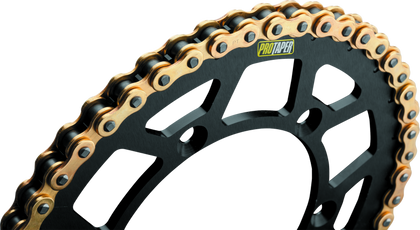 ProTaper Chain 420MX 134L