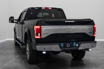 2015-2020 Ford F-150 Back Up Light Assembly