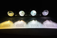 D2R: XB 4300K HID Bulbs (Pair)