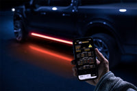 AMP Research 21-24 Ford F-150 SuperCrew PowerStep Vision