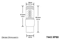 7443 XP80 LED Amber (single)