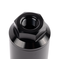 AEM 10 Micron Fuel Filter