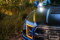 Morimoto 4Banger Ditch Light Kit: 15-20 F150 (HXB White Spot Beam)