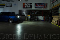 Backup LEDs for 2013-2021 Honda Civic (pair), HP5 (92 lumens)