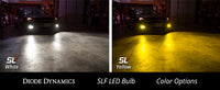 9005 SLF LED Yellow Single Diode Dynamics