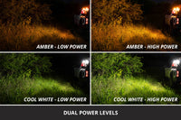 Stage Series LED Scene Light Kit for Kuat IBEX Bed Rack Diode Dynamics