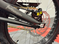 Surron Light Bee X 2025 Model (USA Stock)