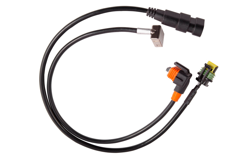 D1S Ballast Power Wires Input And Output