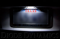 2010-2014 Dodge Charger LED Pure White Short (single)