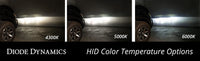 HID Bulb D6A 5000k (pair)