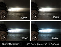 2005-2010 Buick Allure HID Bulb D1S 5000K (pair)