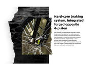 Surron Light Bee X 2025 Model (USA Stock)