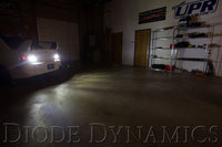 2007-2020 Honda Fit Back Up Light Bulb LED Cool White (pair)