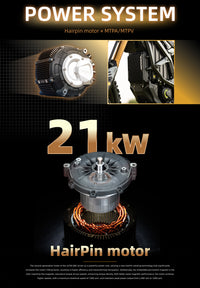 Surron Ultra Bee 2025 Model (USA Stock)