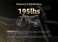 Surron Ultra Bee 2025 Model (USA Stock)