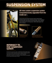 Surron Ultra Bee 2025 Model (USA Stock)