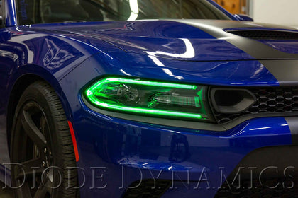 2019 Dodge Charger Multicolor LED Boards