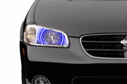 Nissan Maxima (00-01): Profile Prism Fitted Halos (Kit)